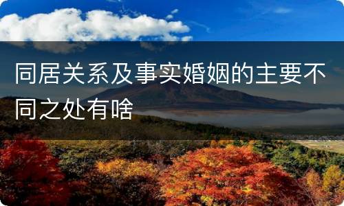 同居关系及事实婚姻的主要不同之处有啥