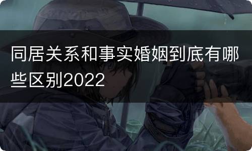 同居关系和事实婚姻到底有哪些区别2022