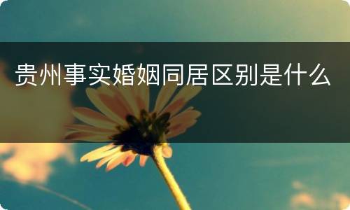 贵州事实婚姻同居区别是什么