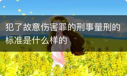 犯了故意伤害罪的刑事量刑的标准是什么样的