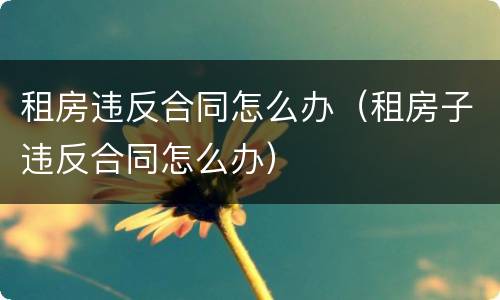 租房违反合同怎么办（租房子违反合同怎么办）