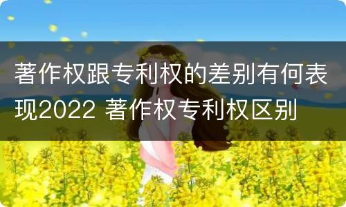著作权跟专利权的差别有何表现2022 著作权专利权区别