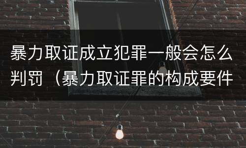 暴力取证成立犯罪一般会怎么判罚（暴力取证罪的构成要件）