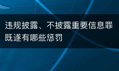 违规披露、不披露重要信息罪既遂有哪些惩罚