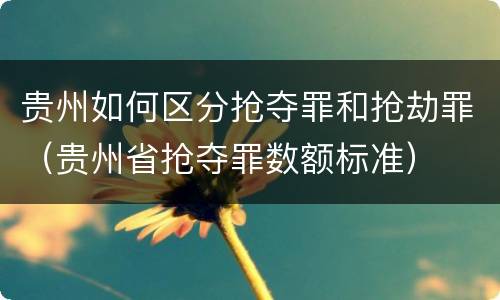 贵州如何区分抢夺罪和抢劫罪（贵州省抢夺罪数额标准）