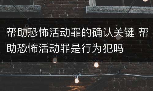 帮助恐怖活动罪的确认关键 帮助恐怖活动罪是行为犯吗