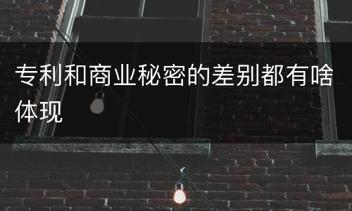 专利和商业秘密的差别都有啥体现