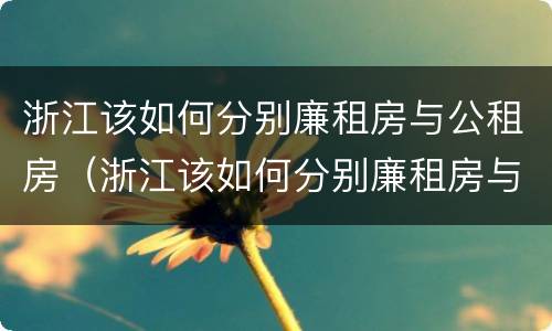 浙江该如何分别廉租房与公租房（浙江该如何分别廉租房与公租房呢）