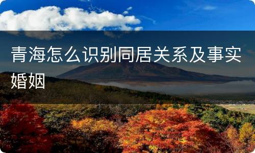 青海怎么识别同居关系及事实婚姻