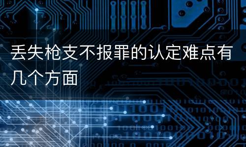 丢失枪支不报罪的认定难点有几个方面