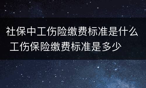 社保中工伤险缴费标准是什么 工伤保险缴费标准是多少