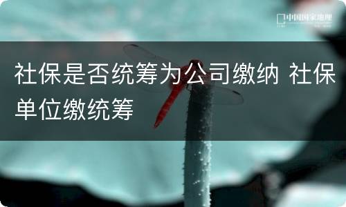 社保是否统筹为公司缴纳 社保单位缴统筹
