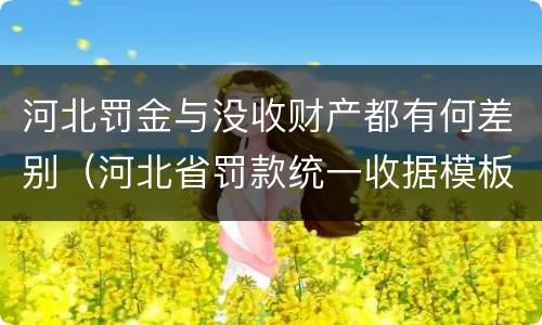 河北罚金与没收财产都有何差别（河北省罚款统一收据模板）