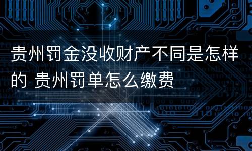 贵州罚金没收财产不同是怎样的 贵州罚单怎么缴费