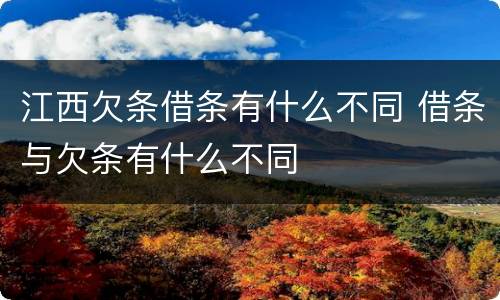 江西欠条借条有什么不同 借条与欠条有什么不同