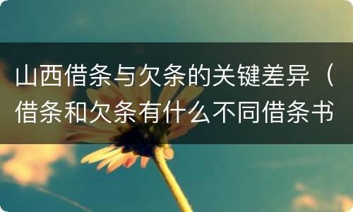 山西借条与欠条的关键差异（借条和欠条有什么不同借条书写）