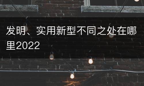 发明、实用新型不同之处在哪里2022