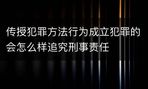 传授犯罪方法行为成立犯罪的会怎么样追究刑事责任