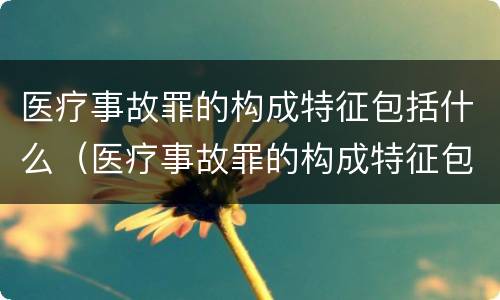 医疗事故罪的构成特征包括什么（医疗事故罪的构成特征包括什么意思）