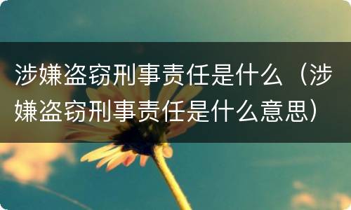 涉嫌盗窃刑事责任是什么（涉嫌盗窃刑事责任是什么意思）