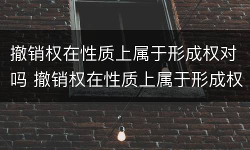 撤销权在性质上属于形成权对吗 撤销权在性质上属于形成权对吗对吗