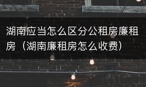 湖南应当怎么区分公租房廉租房（湖南廉租房怎么收费）