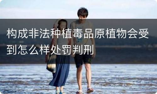 构成非法种植毒品原植物会受到怎么样处罚判刑