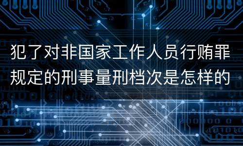 犯了对非国家工作人员行贿罪规定的刑事量刑档次是怎样的