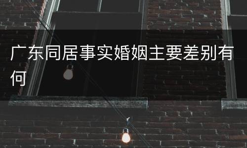 广东同居事实婚姻主要差别有何
