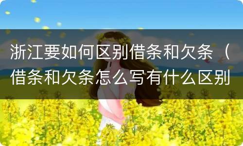 浙江要如何区别借条和欠条（借条和欠条怎么写有什么区别）