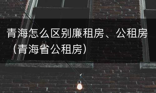 青海怎么区别廉租房、公租房（青海省公租房）