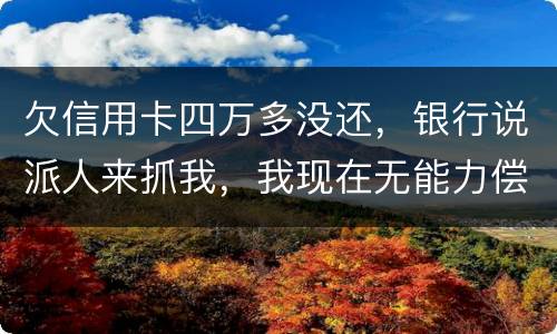 欠信用卡四万多没还，银行说派人来抓我，我现在无能力偿还，会怎么判刑呢