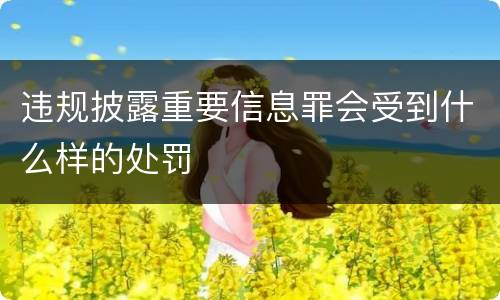 违规披露重要信息罪会受到什么样的处罚