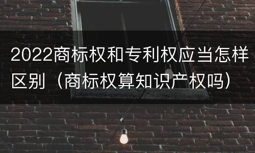 2022商标权和专利权应当怎样区别（商标权算知识产权吗）