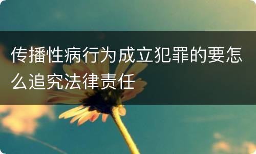 传播性病行为成立犯罪的要怎么追究法律责任