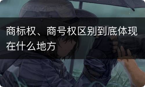 商标权、商号权区别到底体现在什么地方