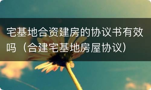 宅基地合资建房的协议书有效吗（合建宅基地房屋协议）