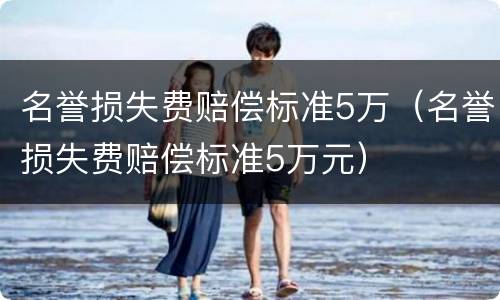 名誉损失费赔偿标准5万（名誉损失费赔偿标准5万元）
