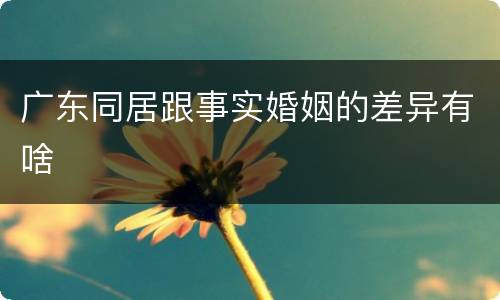 广东同居跟事实婚姻的差异有啥