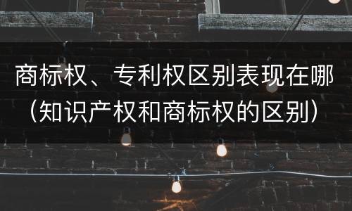 商标权、专利权区别表现在哪（知识产权和商标权的区别）