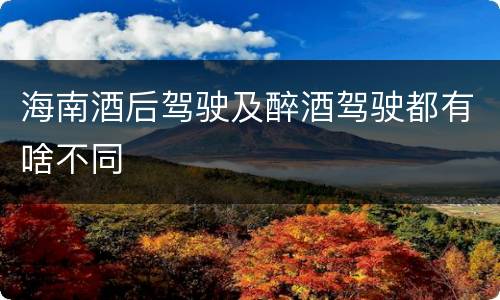 海南酒后驾驶及醉酒驾驶都有啥不同