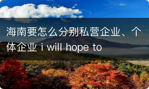 海南要怎么分别私营企业、个体企业 i will hope to