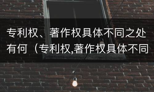 专利权、著作权具体不同之处有何（专利权,著作权具体不同之处有何意义）