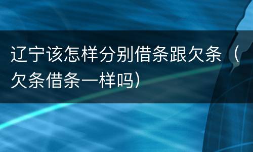 辽宁该怎样分别借条跟欠条（欠条借条一样吗）