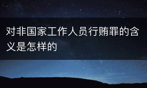 对非国家工作人员行贿罪的含义是怎样的