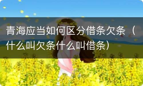 青海应当如何区分借条欠条（什么叫欠条什么叫借条）