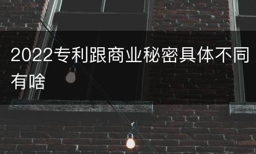 2022专利跟商业秘密具体不同有啥