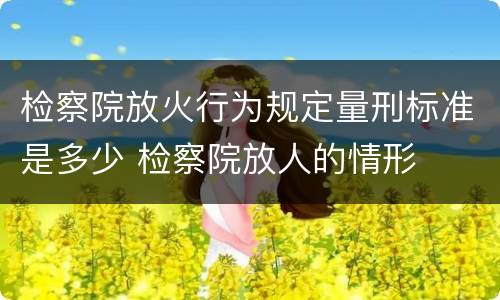 检察院放火行为规定量刑标准是多少 检察院放人的情形
