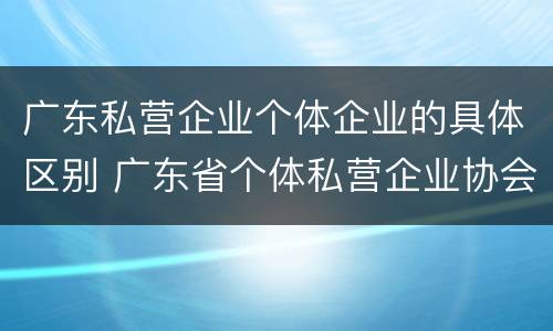 广东私营企业个体企业的具体区别 广东省个体私营企业协会