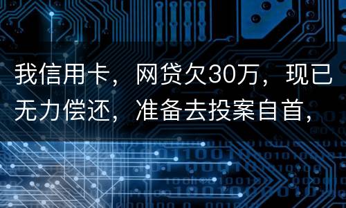 我信用卡，网贷欠30万，现已无力偿还，准备去投案自首，大概会判多少年